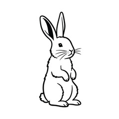 Obraz premium Rabbit Cartoon Figure Standing Upright