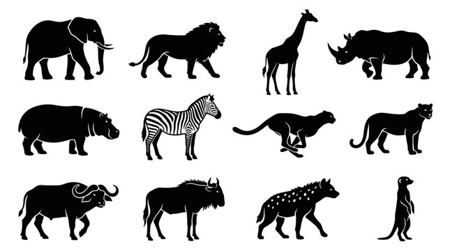 Flat silhouette vector icon set of 12 African wild animals  elephant side view  lion walking  giraffe standing  rhinoceros side view  hippopotamus side profile  zebra standing  cheetah running pose  l