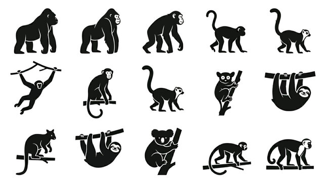 Flat silhouette vector icon set of 12 arboreal and primate animals  gorilla standing  chimpanzee walking  orangutan standing  gibbon swinging pose  monkey sitting  lemur standing  tarsier sitting  slo