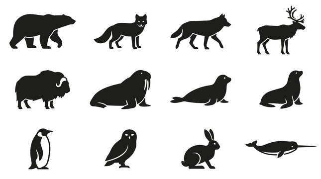 Flat silhouette vector icon set of 12 cold climate animals  polar bear walking  arctic fox standing  arctic wolf walking  reindeer standing  musk ox side view  walrus side profile  seal lying pose  se