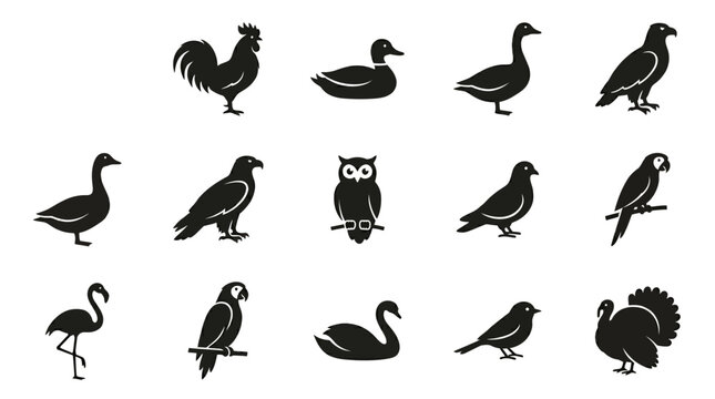 Flat silhouette vector icon set of 12 birds  chicken side view  rooster standing  duck side view  goose side profile  eagle wings folded  owl front view  pigeon standing  parrot side view  swan side v