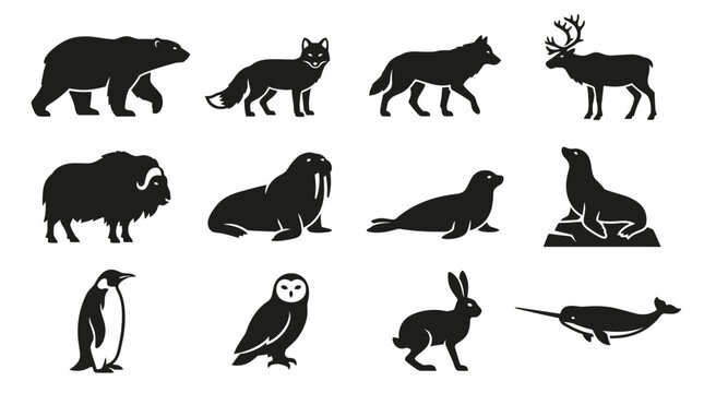 Flat silhouette vector icon set of 12 cold climate animals  polar bear walking  arctic fox standing  arctic wolf walking  reindeer standing  musk ox side view  walrus side profile  seal lying pose  se