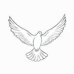 Fototapeta premium Dove flying with wings spread, line art