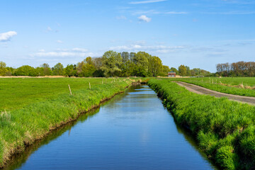 a canal in the district Wesermarsch between pastures © heidepinkall
