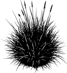Naklejka premium Black thistle, prickly plant, vector illustration, botanical design