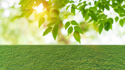Obraz premium Green leaf and grass background with sunlight for nature and eco design concept