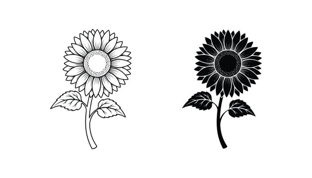 Blooming sunflower flower head line and solid black silhouette icon