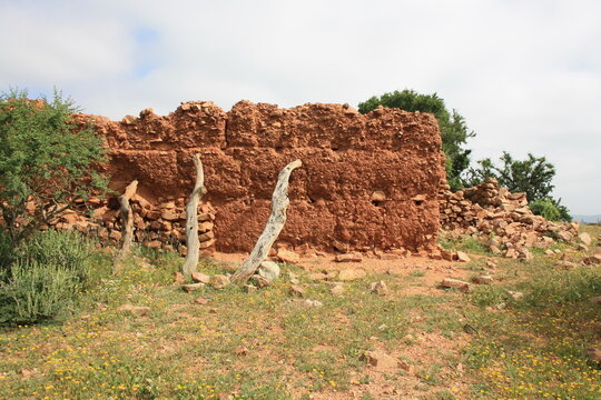 Old clay and stone houses in the Little Atlas Mountains, surrounded by argan trees and wild grasses, reflecting rural life and history near Arbaa Sahel, Tiznit, Morocco.