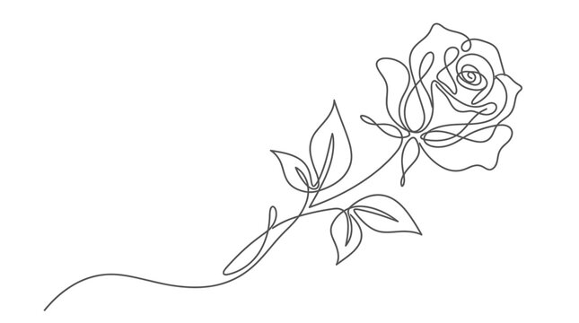line drawing of a rose
