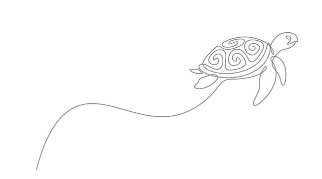 turtle swimming line art