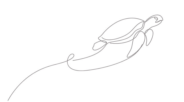 Sea turtle swimming line art