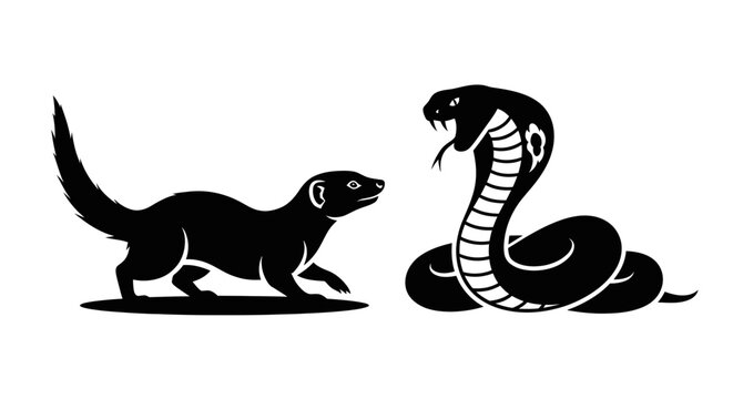 Mongoose Versus Cobra Snake Silhouette Battle