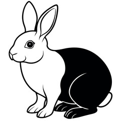 Obraz premium Black-and-white-rabbit-isolated-on-white-background 