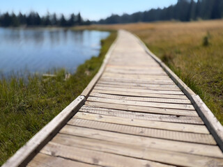 Obraz premium A lonely walk at pond's edge