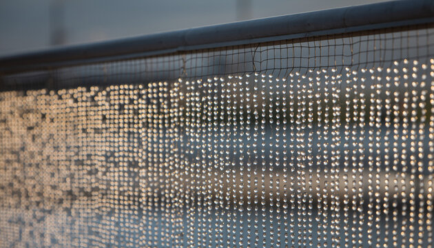 Water droplets on a mesh screen with soft diffused lighting