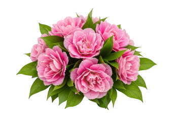Fototapeta premium Vibrant bouquet of pink peonies with lush green leaves PNG isolated on transparent background