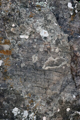 Fototapeta premium Grunge natural stone texture background with rough rocky surface, weathered wall pattern, abstract mineral detail and solid material backdrop closeup.