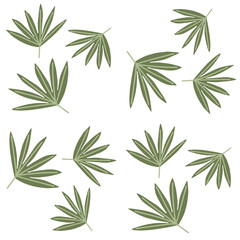 Fototapeta premium Palm leaves set seamless pattern