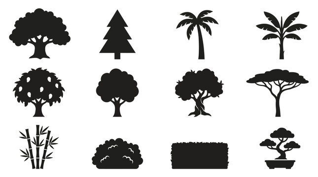 oak tree silhouette  pine tree conical shape  palm tree side view  banana tree with wide leaves  mango tree rounded crown  apple tree silhouette  olive tree twisted trunk  acacia tree flat top crown  