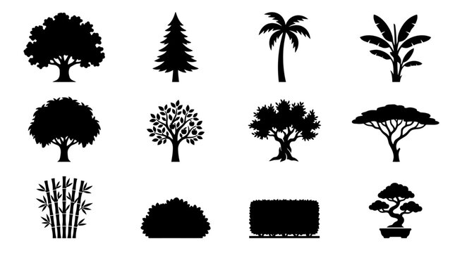 oak tree silhouette  pine tree conical shape  palm tree side view  banana tree with wide leaves  mango tree rounded crown  apple tree silhouette  olive tree twisted trunk  acacia tree flat top crown  