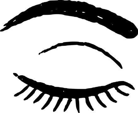 Hand Drawn Closed Eye with Brow Vector Drawing