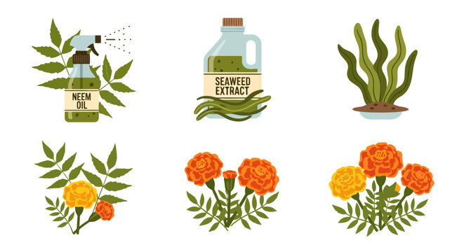 Natural pest control and plant care solutions for organic gardening.