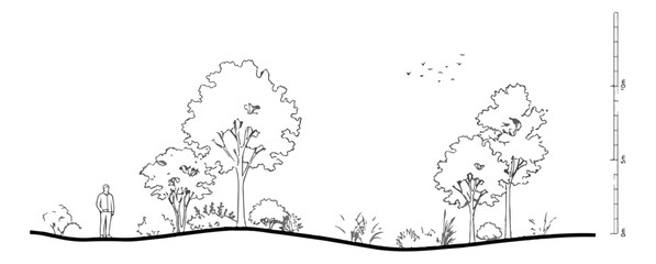 Architectural landscape section drawing, hand-drawn black and white tree silhouettes, garden elevation with human scale and vegetation © Shahzad