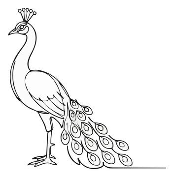 Indian peacock minimalist side view line art. Generative AI