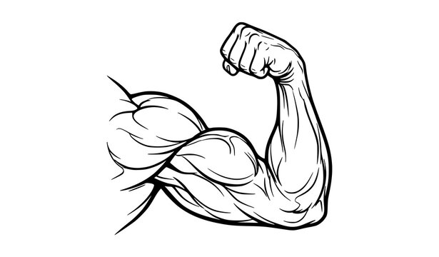 Flexed bicep line art vector illustration with muscular arm strength isolated on white background