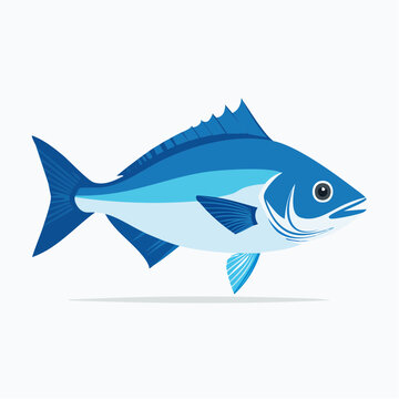Blue Fish Illustration