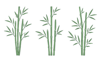 Obraz premium Minimalist Bamboo Vector Set, Simple Flat Bamboo Illustration with Clean Outline in SVG Style Isolated on White Background