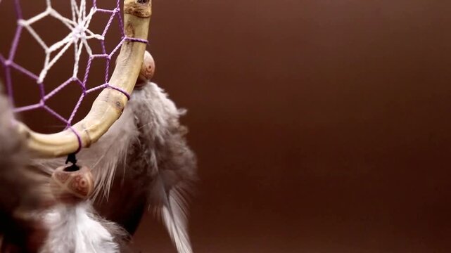 Dream Catcher plain background