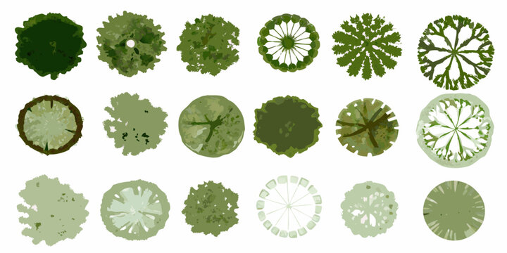 Tree top views plan view collection on white background
