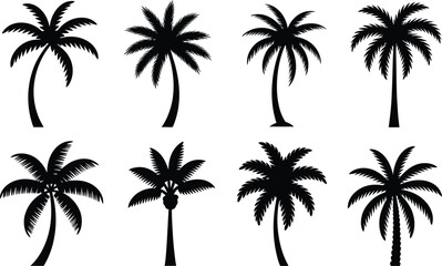 Obraz premium Set of palm tree silhouettes