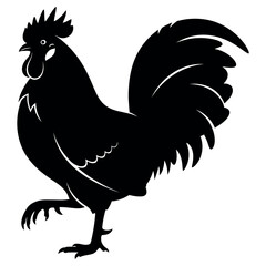 Proud rooster illustration showing a sharp black silhouette of a farm bird standing tall in this clean graphic art image created to represent poultry and livestock for your creative projects. © Mst Sahera