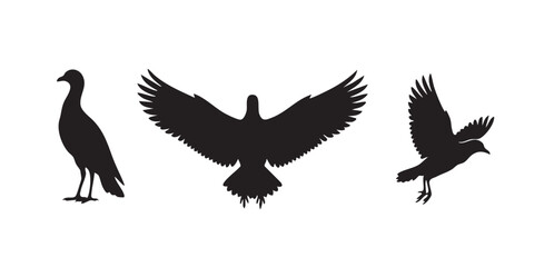Fototapeta premium Flying Eagle and Wild Birds Silhouettes Set