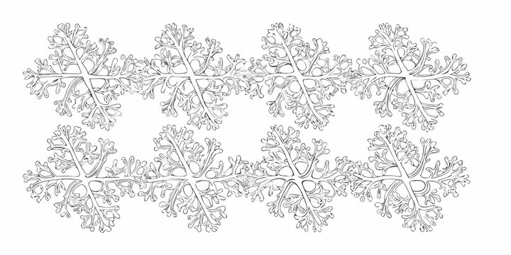 Botanical fern pattern detailed line drawing on white background