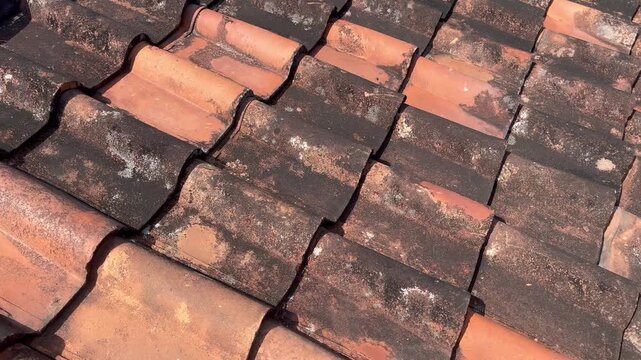 Old terracotta roof tiles texture background with moss