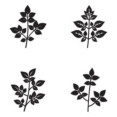 Obraz premium Four black silhouettes of plants with leaves on white background for design and decoration simple line style
