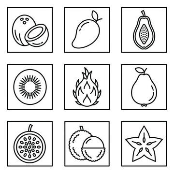 Variety of Fruit Illustrations.