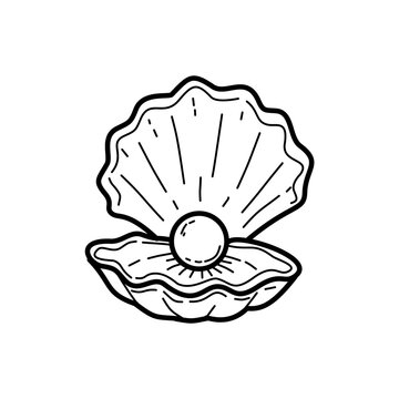 Pearl Oyster Coloring Page Ocean Treasure Printable