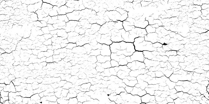Cracked dry grunge texture background with black lines on white surface for design and decoration