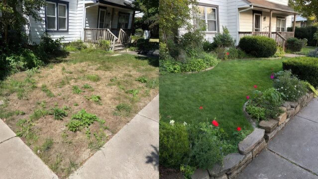 Before and after comparison of residential front yard landscaping transformation featuring dry patchy grass changed into a lush green lawn with decorative stone edging and vibrant garden plants 
