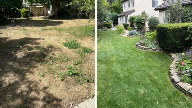Before and after comparison of residential front yard landscaping transformation featuring dry patchy grass changed into a lush green lawn with decorative stone edging and vibrant garden plants 
