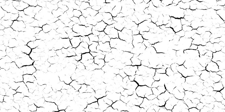 Cracked earth grunge texture background with black lines on white, Dry soil pattern for design and decoration