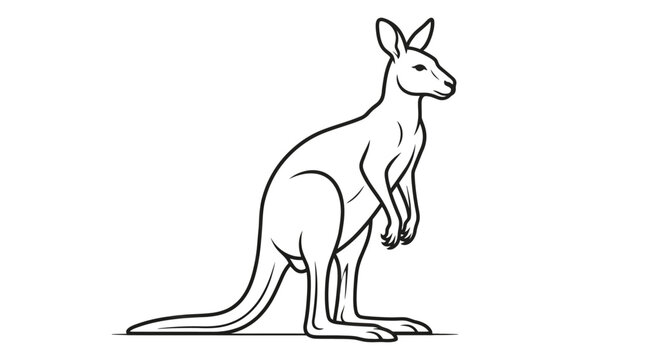 Kangaroo standing pose illustration