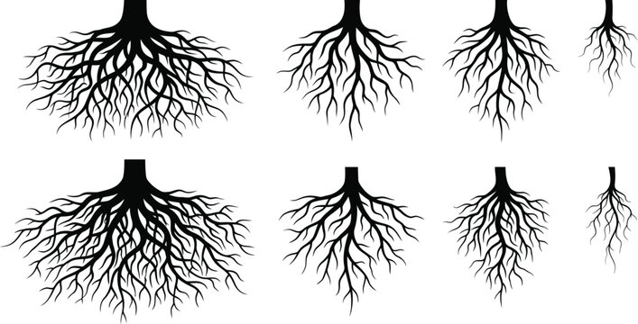 Tree root silhouettes various shapes on white background