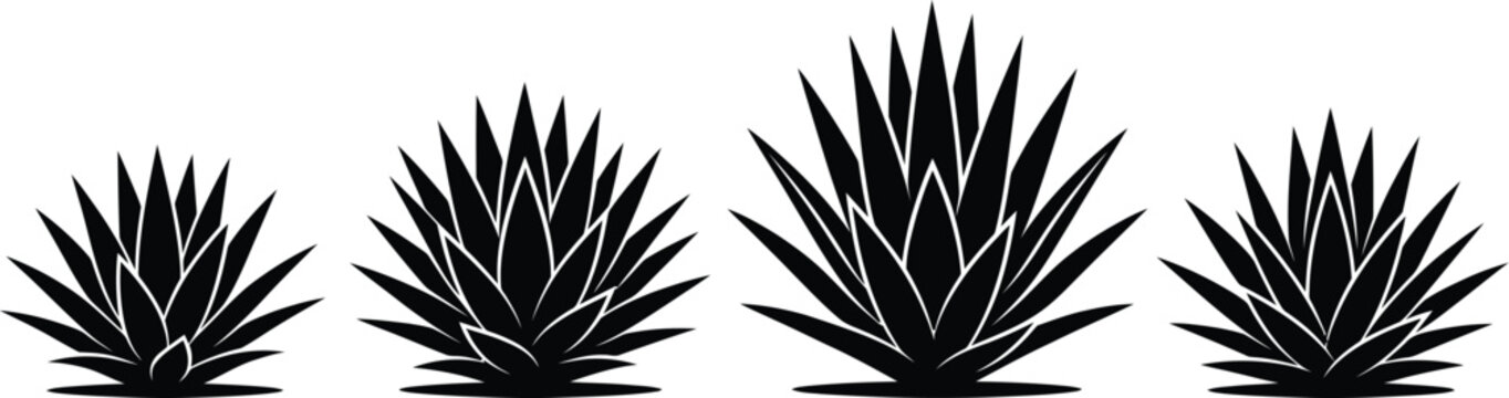 Agave plant silhouette set black and white graphic
