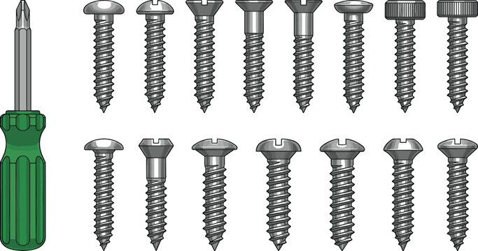 Screw and Screwdriver Collection Vector Illustration Featuring Metal Fasteners Phillips Screws and Hand Tool Hardware