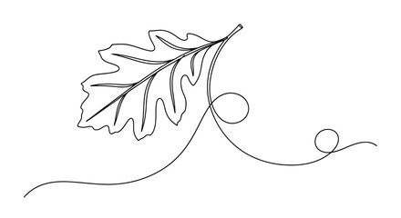 Single line drawing of an oak leaf with swirl line art white background botanical minimalist © Line Lab